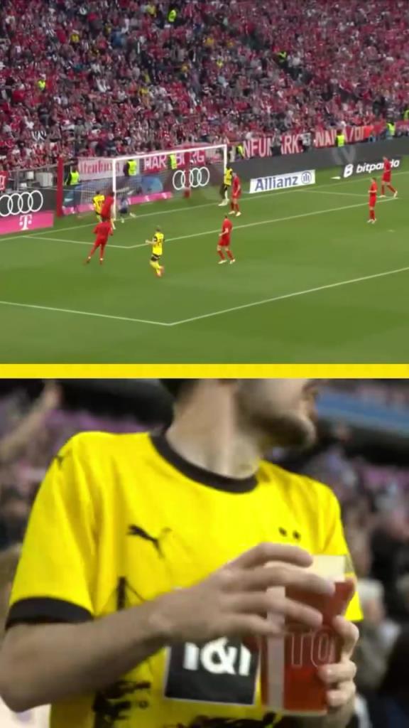 勇者無懼！這是真多特球迷！在拜仁球迷區一個人肆意慶祝！